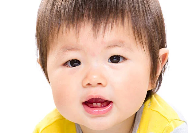 Infant Tooth Eruption Timeline