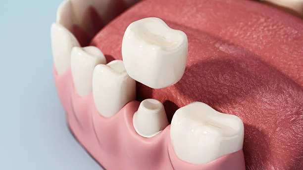 Dentist's Recommendations